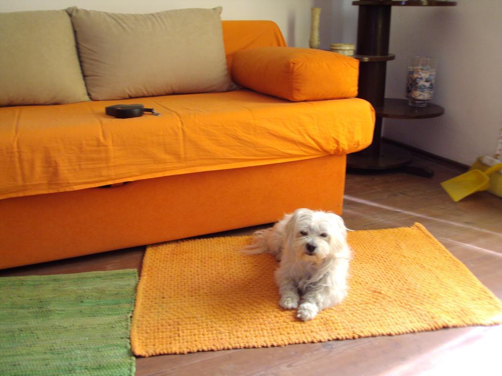 Apartment Toby Split Pokój zdjęcie